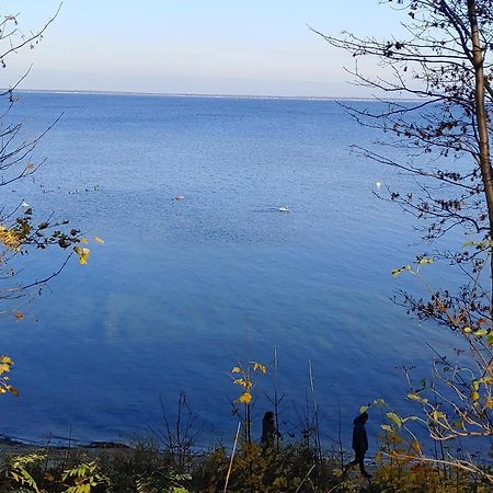 Apartament Delfin Пуцьк Екстер'єр фото
